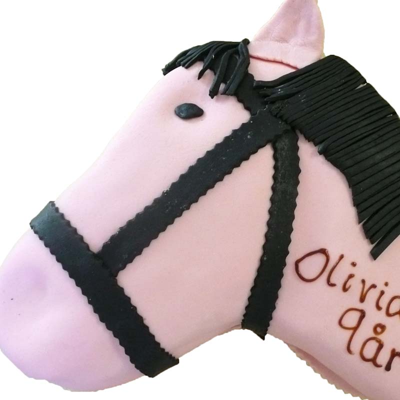 Specialtårta-10 Specialtårta